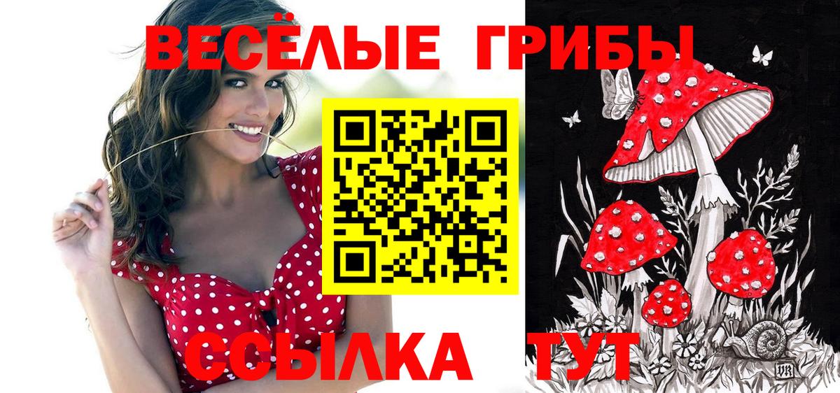 Волжск  Псилоцибиновые грибы ЛСД  Вход с VPN 