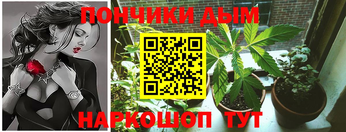 Волжск  Шишки марихуана AK-47  Каннабис THC 21%  Вход с VPN 